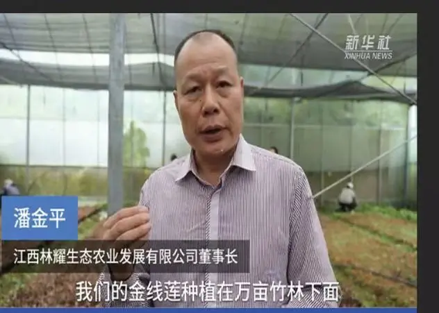 Pan Jinping, ordförande för Jiangxi Linyao Ecological Agriculture Development Co., Ltd., intervjuad av Xinhua News Agency