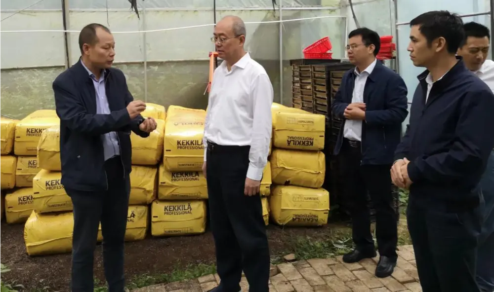 Xie Guanghua, partisekreterare och direktör för Jiangxi Provincial Administration of Traditional Chinese Medicine, bedriver forskning vid planteringsbasen Anoectochilus